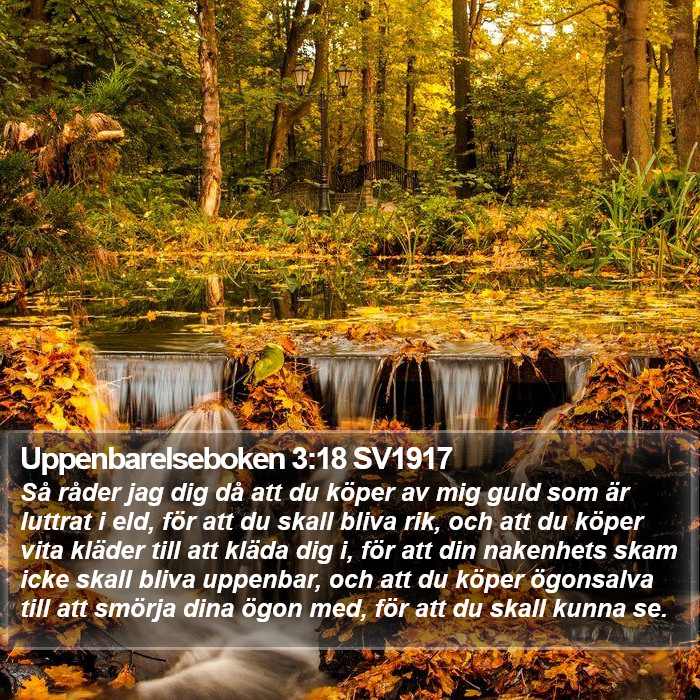 Uppenbarelseboken 3:18 SV1917 Bible Study