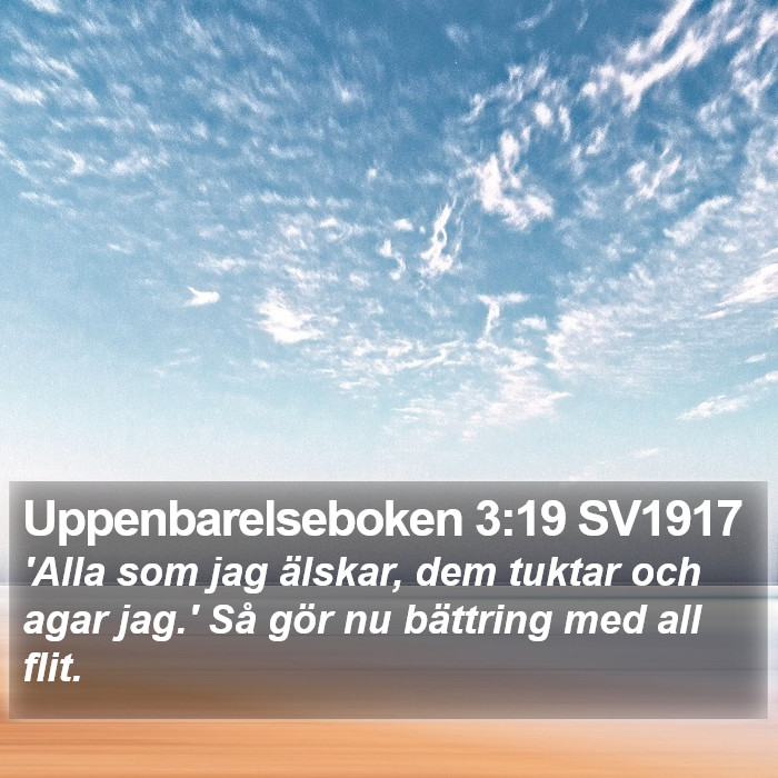 Uppenbarelseboken 3:19 SV1917 Bible Study