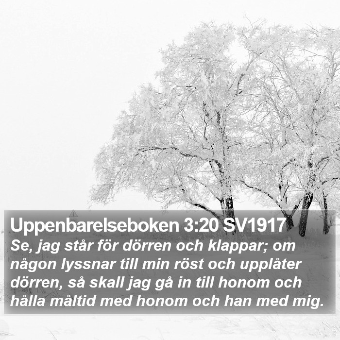 Uppenbarelseboken 3:20 SV1917 Bible Study
