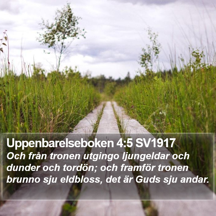 Uppenbarelseboken 4:5 SV1917 Bible Study
