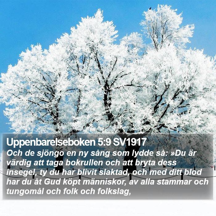 Uppenbarelseboken 5:9 SV1917 Bible Study