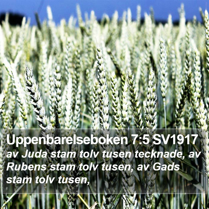 Uppenbarelseboken 7:5 SV1917 Bible Study