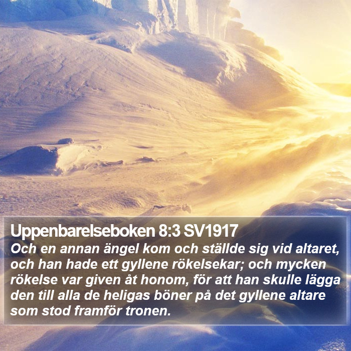 Uppenbarelseboken 8:3 SV1917 Bible Study