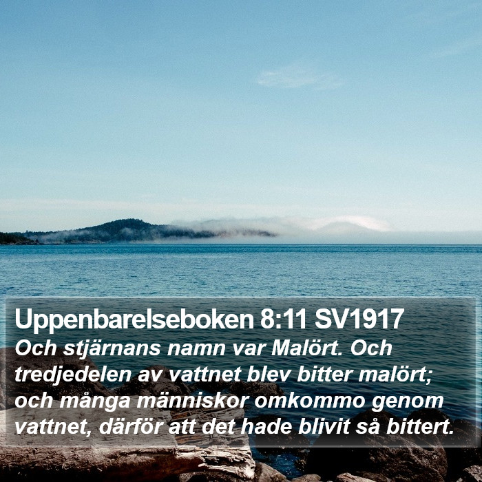 Uppenbarelseboken 8:11 SV1917 Bible Study