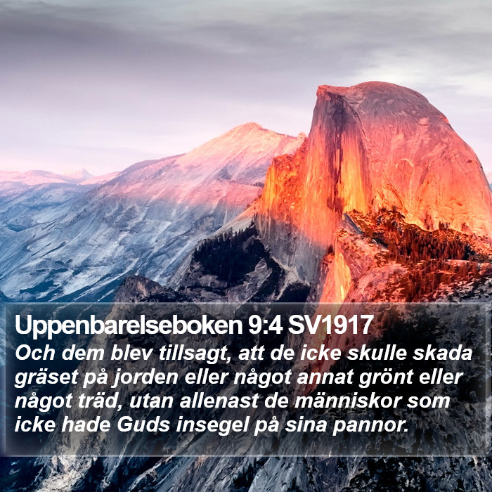 Uppenbarelseboken 9:4 SV1917 Bible Study
