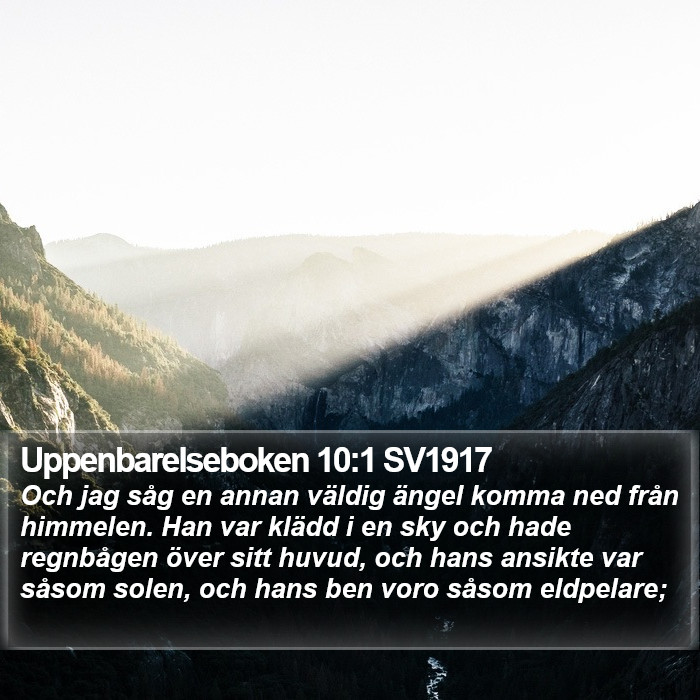 Uppenbarelseboken 10:1 SV1917 Bible Study