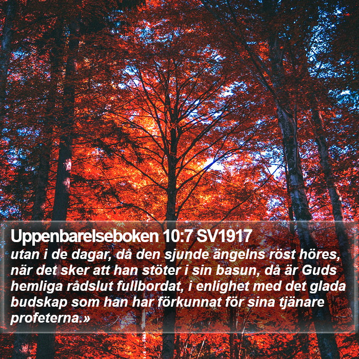 Uppenbarelseboken 10:7 SV1917 Bible Study