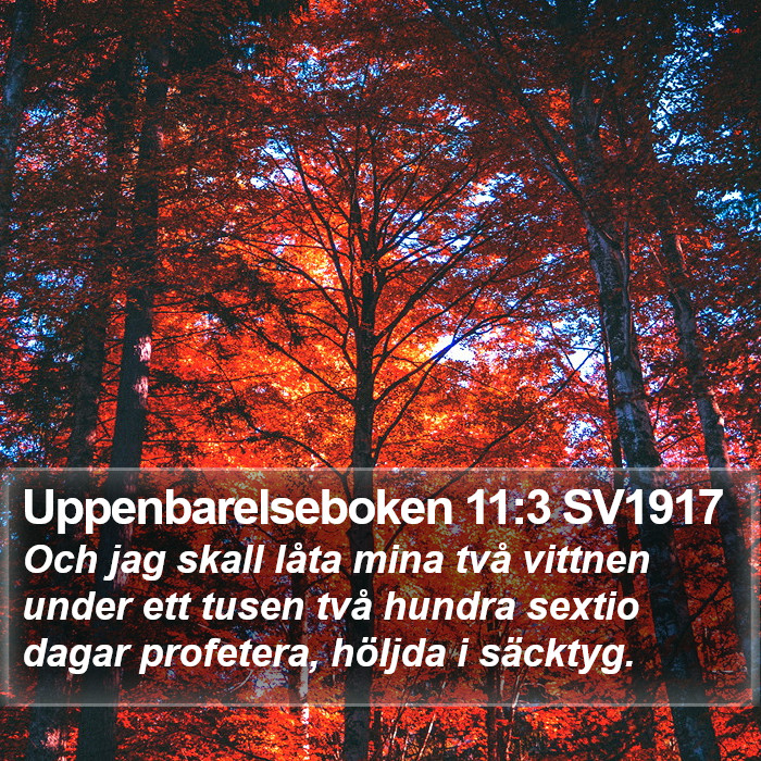 Uppenbarelseboken 11:3 SV1917 Bible Study