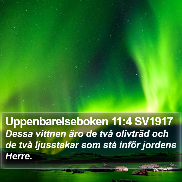 Uppenbarelseboken 11:4 SV1917 Bible Study