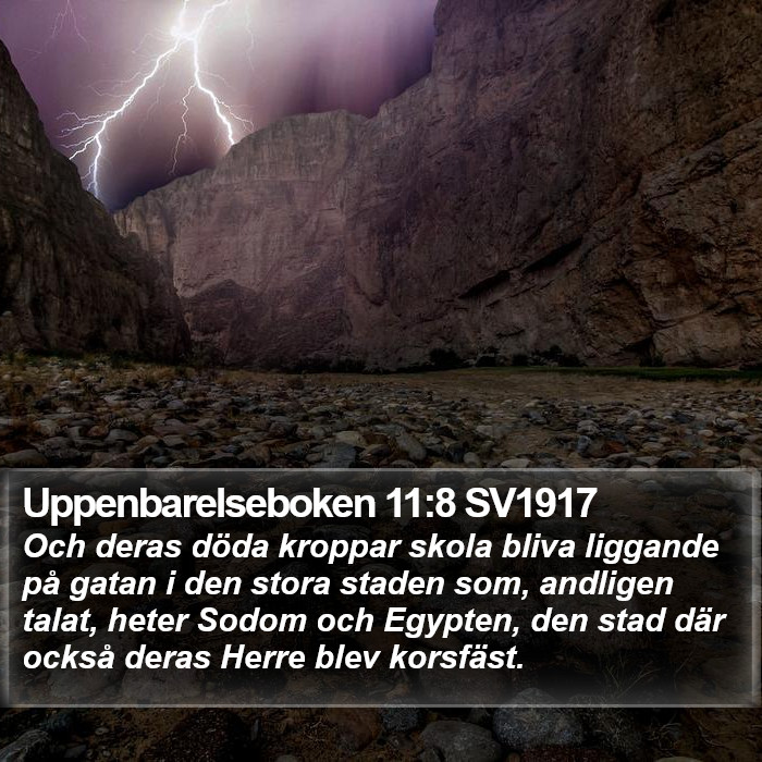 Uppenbarelseboken 11:8 SV1917 Bible Study