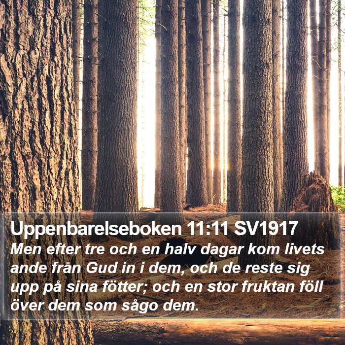 Uppenbarelseboken 11:11 SV1917 Bible Study