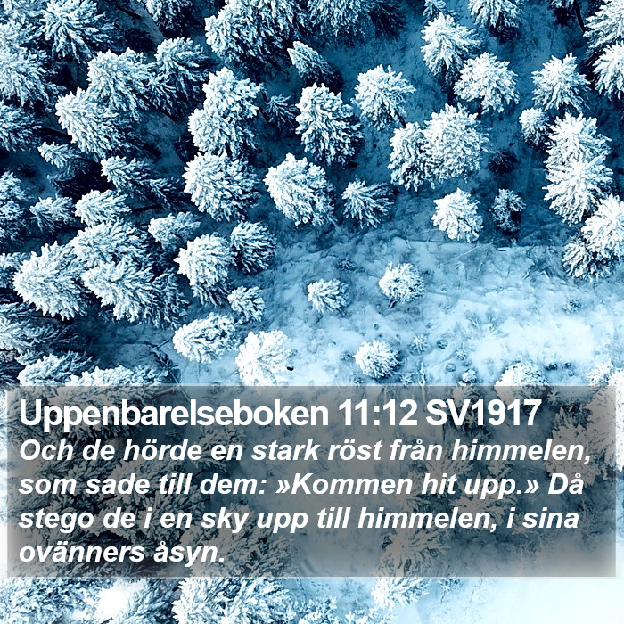 Uppenbarelseboken 11:12 SV1917 Bible Study
