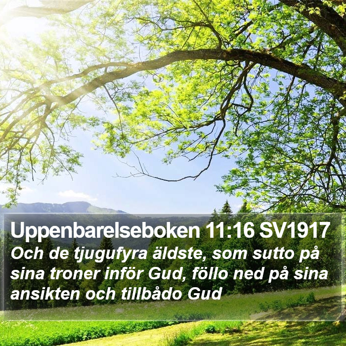 Uppenbarelseboken 11:16 SV1917 Bible Study