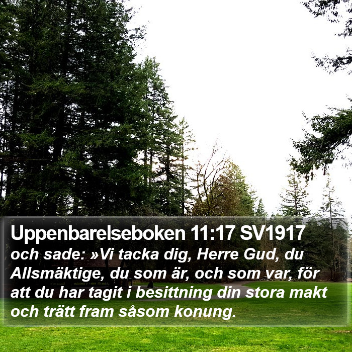 Uppenbarelseboken 11:17 SV1917 Bible Study