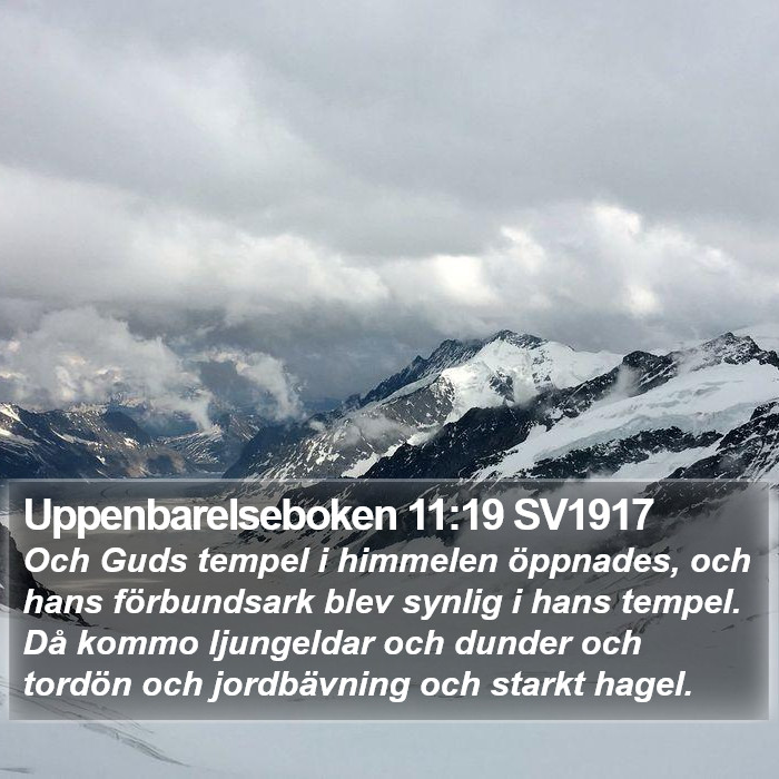 Uppenbarelseboken 11:19 SV1917 Bible Study