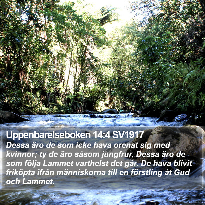 Uppenbarelseboken 14:4 SV1917 Bible Study