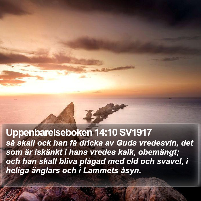Uppenbarelseboken 14:10 SV1917 Bible Study