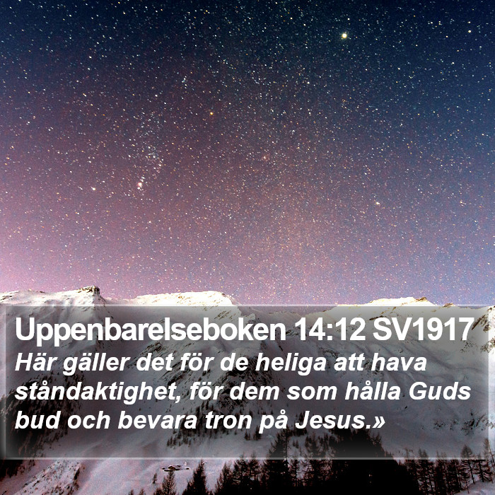 Uppenbarelseboken 14:12 SV1917 Bible Study