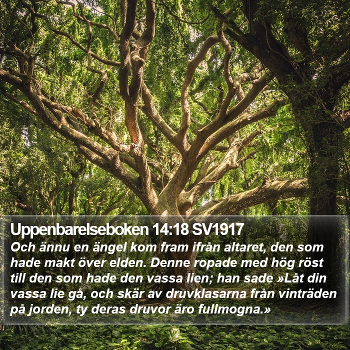 Uppenbarelseboken 14:18 SV1917 Bible Study