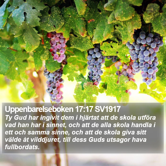 Uppenbarelseboken 17:17 SV1917 Bible Study
