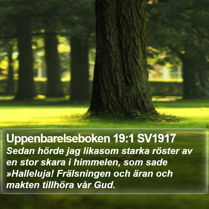 Uppenbarelseboken 19:1 SV1917 Bible Study