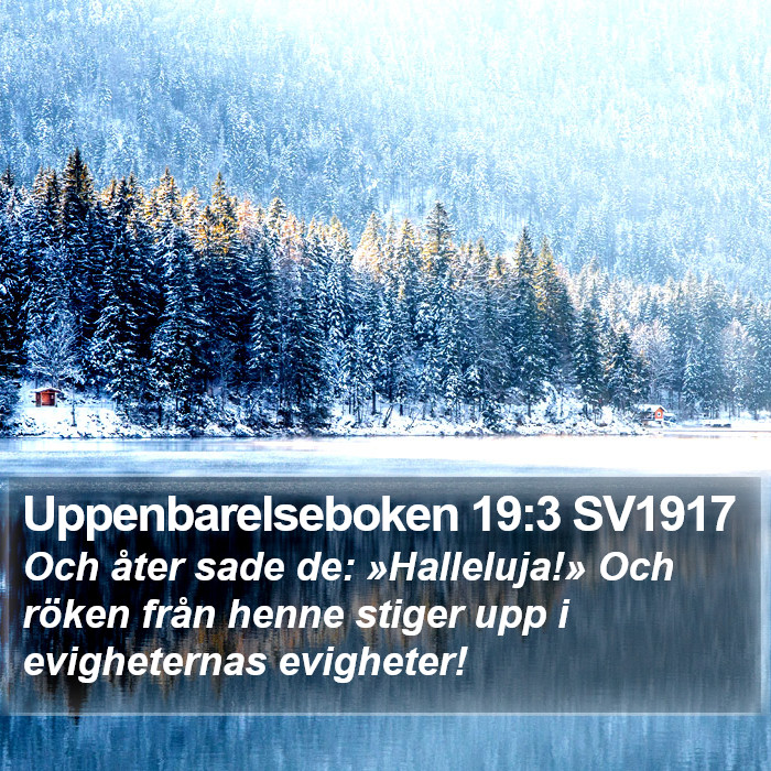 Uppenbarelseboken 19:3 SV1917 Bible Study