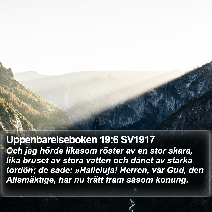 Uppenbarelseboken 19:6 SV1917 Bible Study
