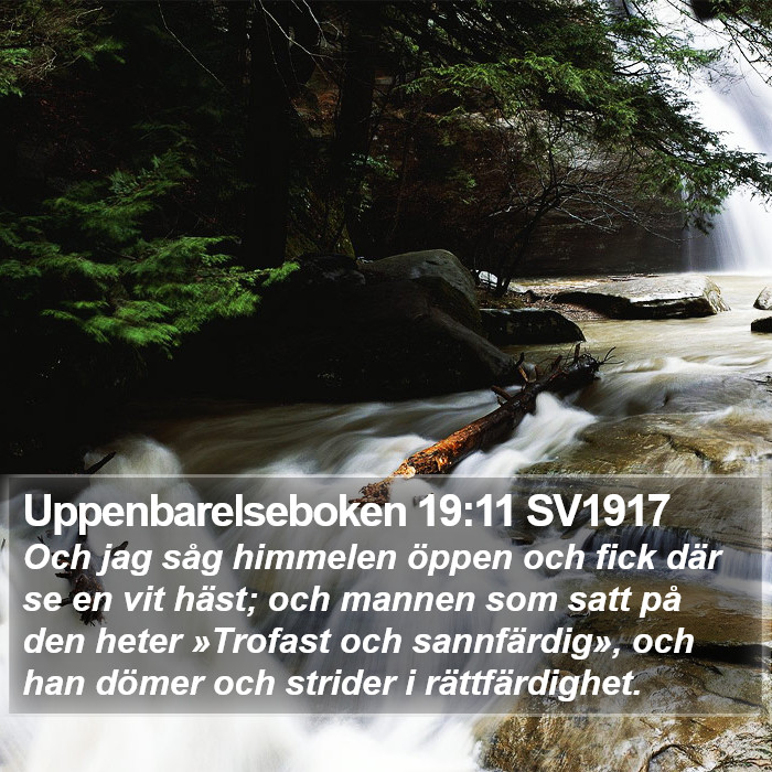 Uppenbarelseboken 19:11 SV1917 Bible Study