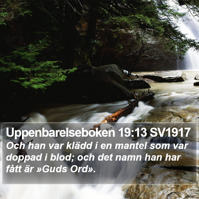 Uppenbarelseboken 19:13 SV1917 Bible Study