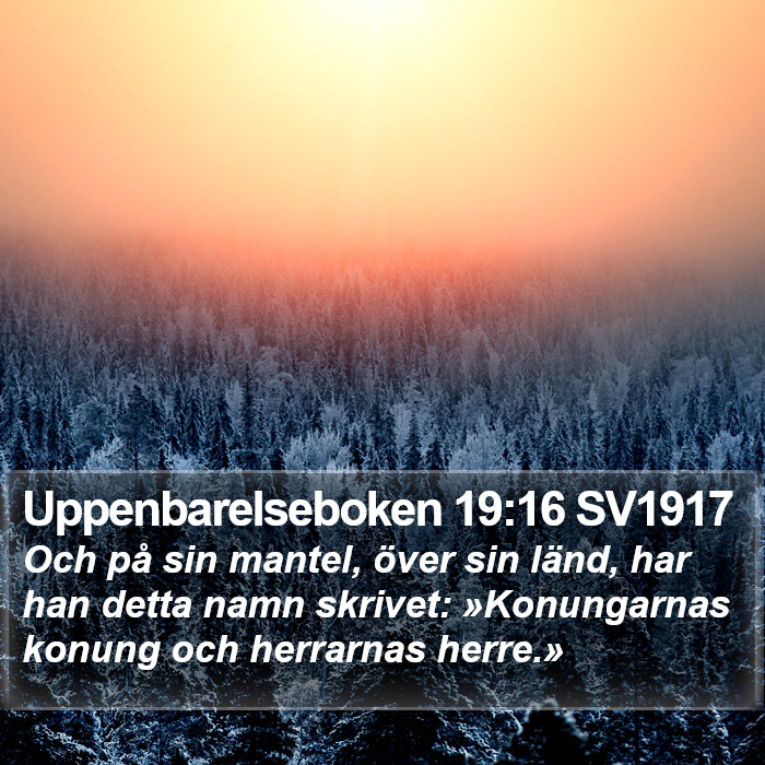 Uppenbarelseboken 19:16 SV1917 Bible Study