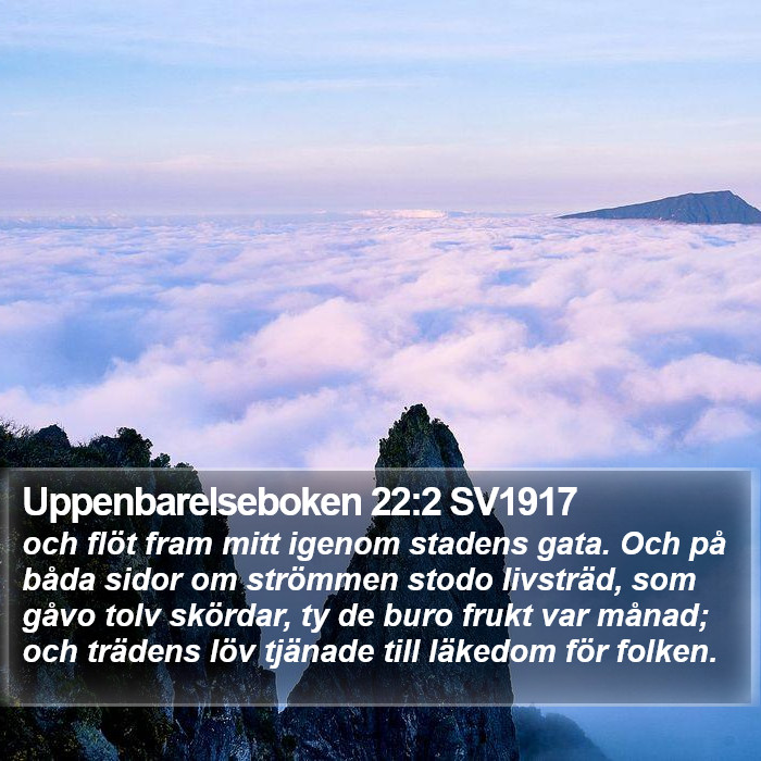 Uppenbarelseboken 22:2 SV1917 Bible Study