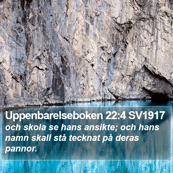 Uppenbarelseboken 22:4 SV1917 Bible Study