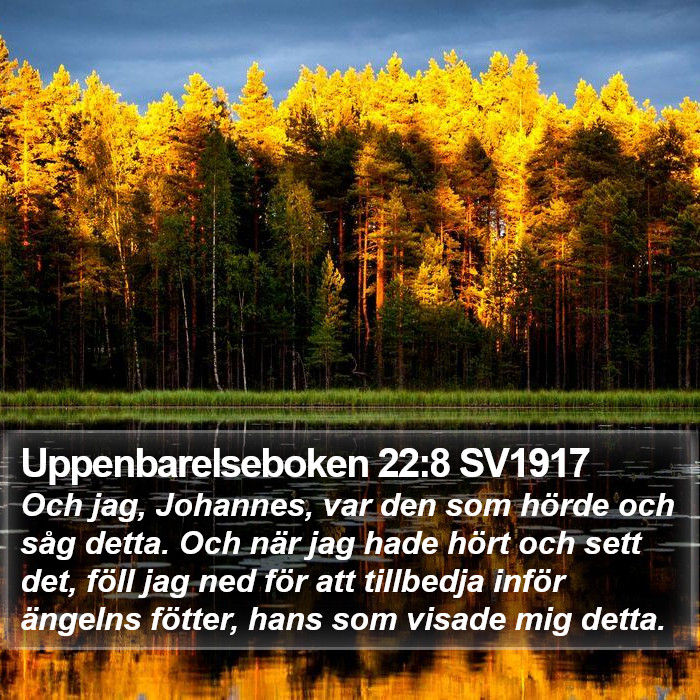 Uppenbarelseboken 22:8 SV1917 Bible Study