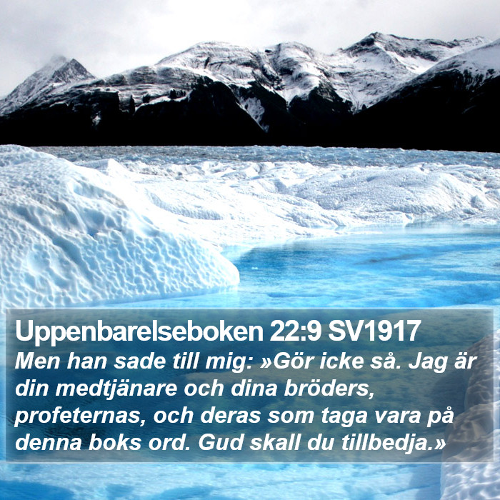 Uppenbarelseboken 22:9 SV1917 Bible Study