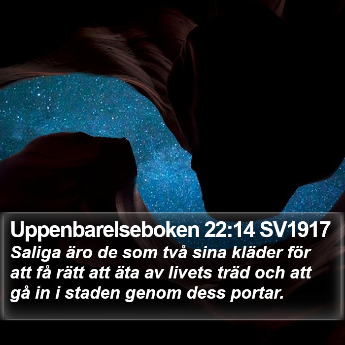 Uppenbarelseboken 22:14 SV1917 Bible Study