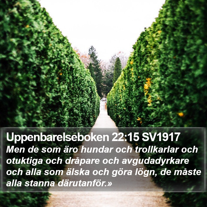 Uppenbarelseboken 22:15 SV1917 Bible Study