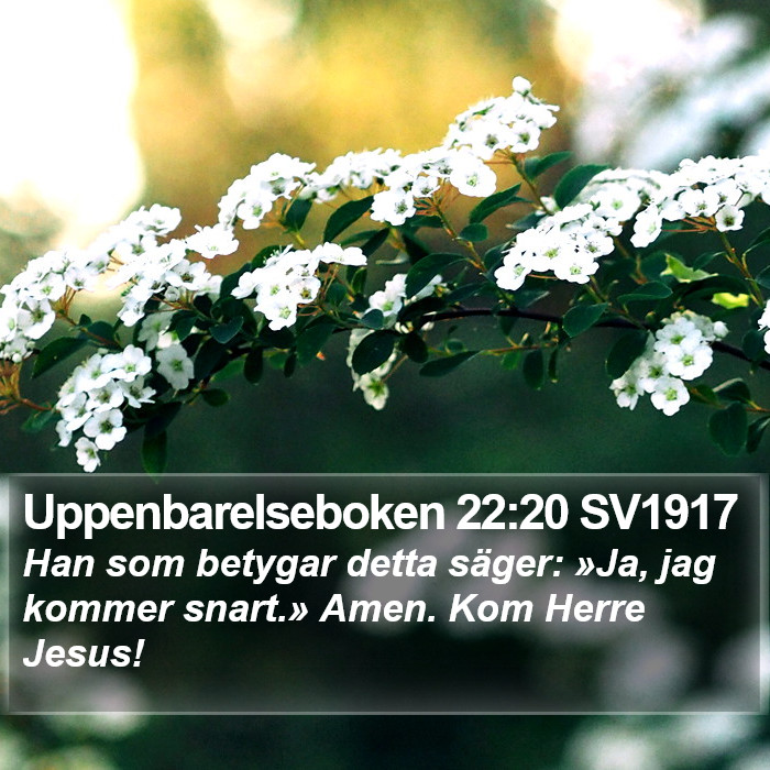 Uppenbarelseboken 22:20 SV1917 Bible Study